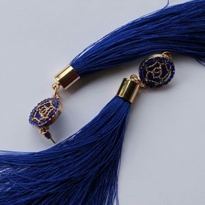 Beautiful light weight tassel earrings